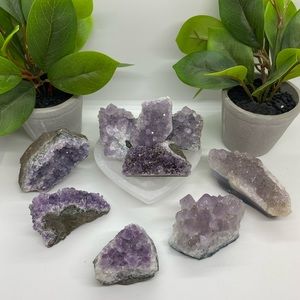 Large Amethyst Cluster- Single